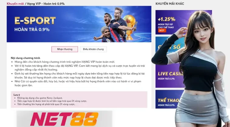 Từng bậc ưu đãi được thiết kế linh hoạt tại Net88