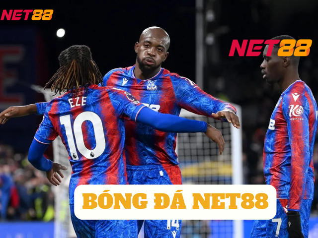bóng đá net88