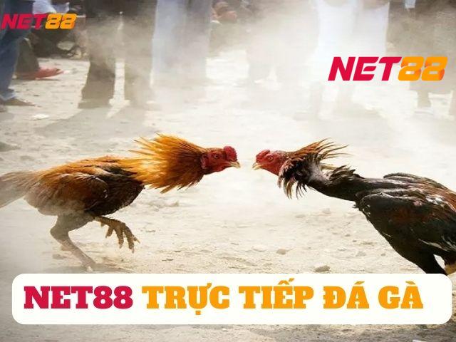 trực tiếp đá gà net88